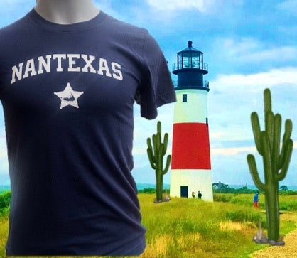 NanTEXAS