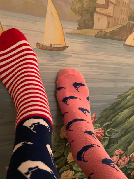S'wonderful Socks -- go anywhere and never leave the island.
