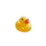 TownPool Rubber Duck