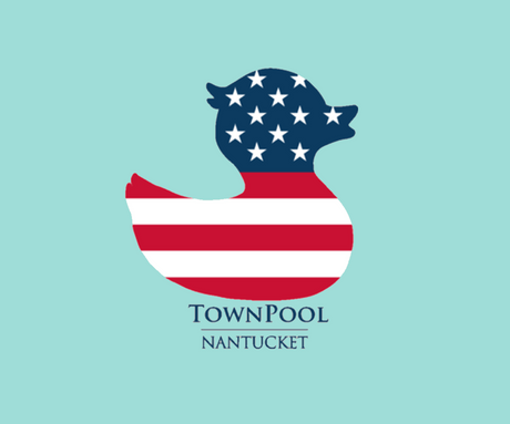 Children's Youth Duck USA Flag tee shirt (Seafoam)