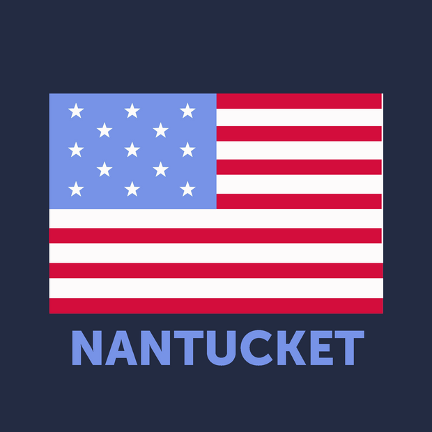 USA Flag Short Sleeve Tee Shirt (Navy, USA)
